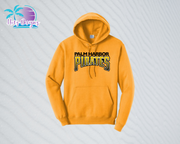 PHP Hoodie Adult & Youth (4 color options)